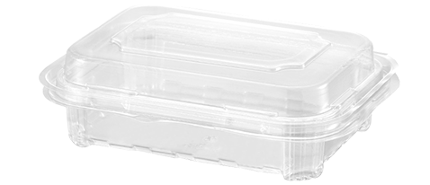 The Hinged Vegetable and Fruit Container: A Game-Changer for Fresh Produce Storage